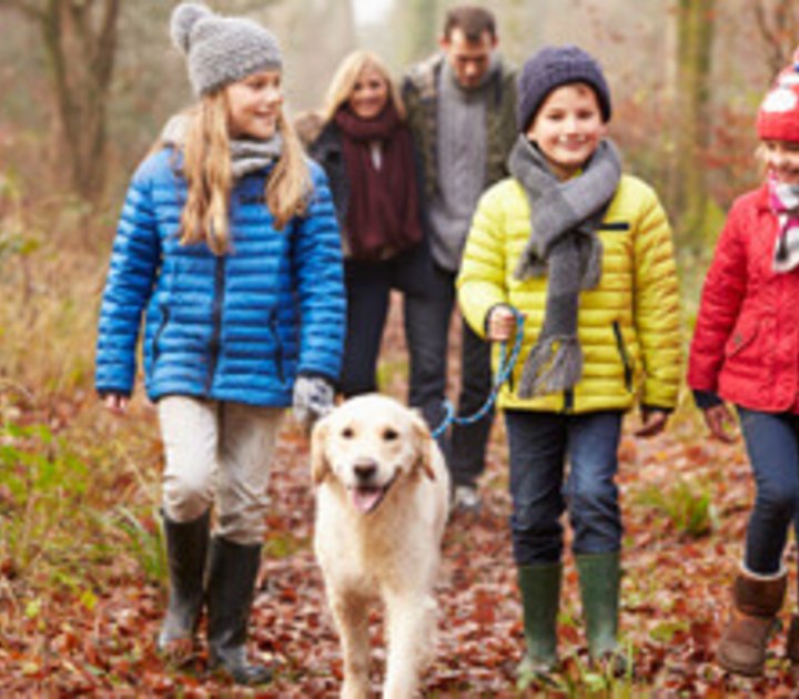 Eine Familie geht mit dem Hund im Herbst-Laub spazieren